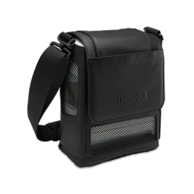 Carry bag or cart