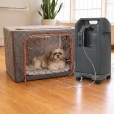 Small dog resting calmly inside a pet oxygen chamber connected to a large charcoal 10L stationary oxygen concentrator at home — 10L pet oxygen rental in Miami